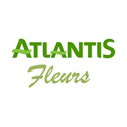 Fleurs Atlantis E.Leclerc Nantes