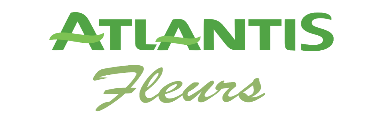 Fleurs Atlantis E.Leclerc