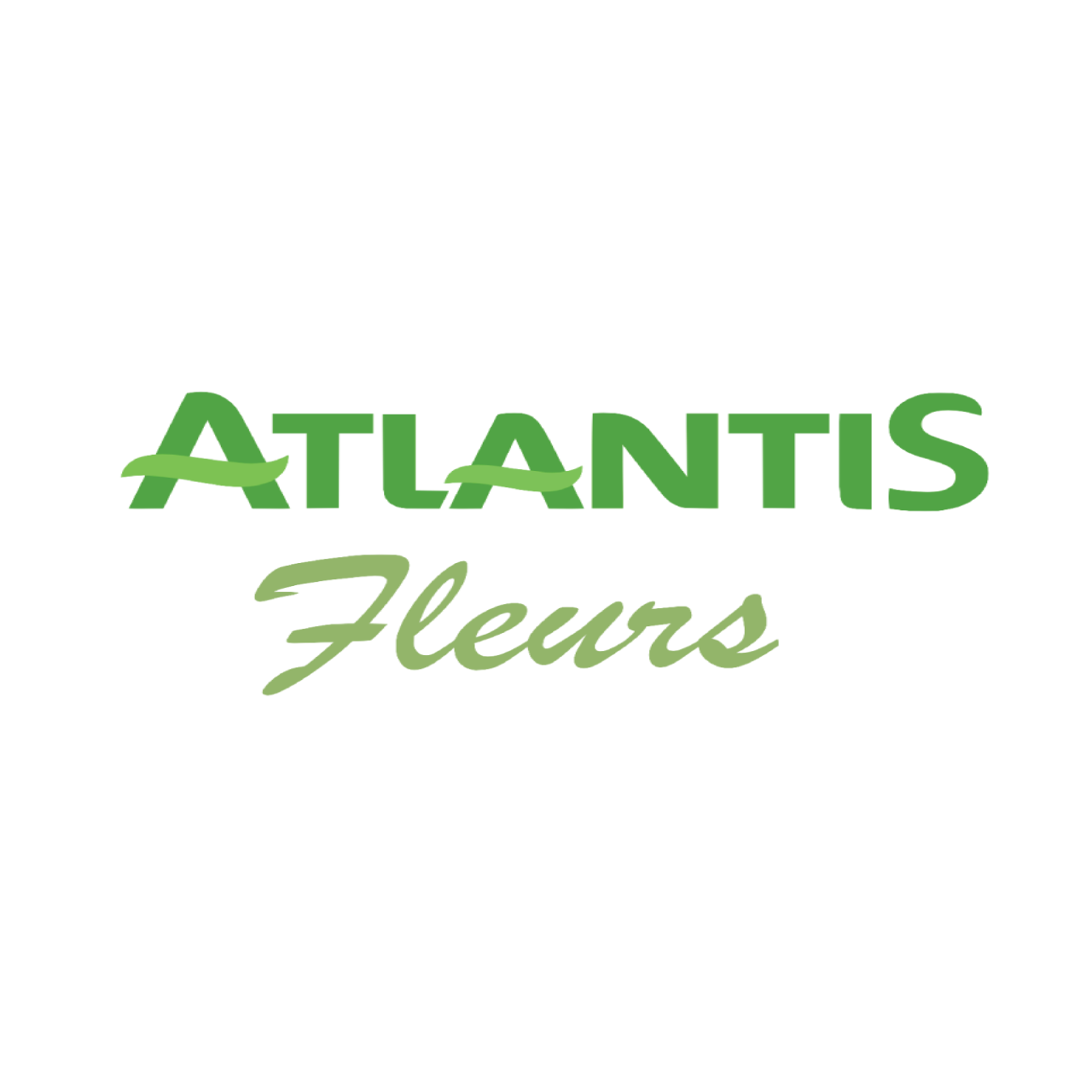 Fleurs Atlantis E.Leclerc